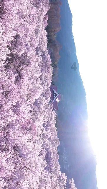 如何证明人类处于虚拟现实之中?天文学家认为要了解计算机极限!