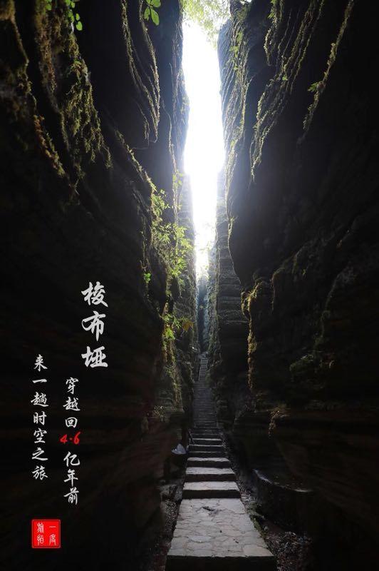 逃离酒品加工厂