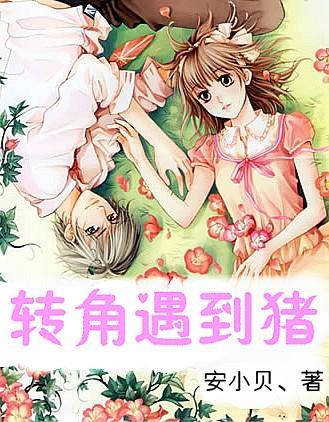 侠客前传
